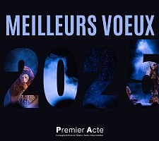 Meilleurs voeux pour cette nouvelle année 2025